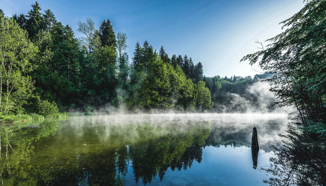 Sommertraining in Zug: Kühlende Waldparcours und schattige Vita-Trails rund um Zuger Wälder – perfekte Orte für Bewegung an heissen Sommertagen.